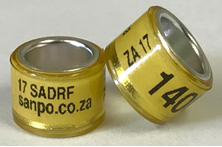 SARDF Rings